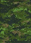 CADPAT was the first pixellated digital camouflage pattern to be issued, in 2002.