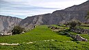 Cultivated terraces in the upper area of Wadi Barut - Dirat Dafalas