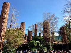 Exterior Endor forest village set in Florida