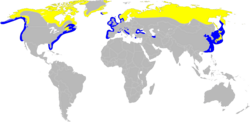 分布図