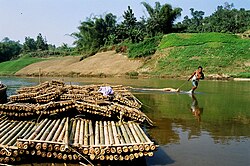 Bamboo in Naikhongchhari
