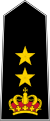 Lieutenant Colonel