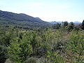 Vue depuis le col vers le sud.