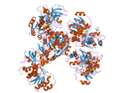 2oby: Crystal structure of Human P53 inducible oxidoreductase (TP53I3,PIG3)