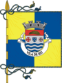 Bandeira de Vila de Rei