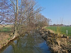 Südaue unterhalb des Klärwerks Barsinghausen