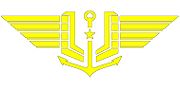 Arm insignia of personnel of Naval aviation
