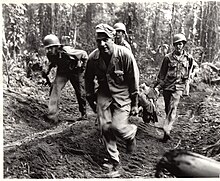 Soldiers of the 145th Infantry carry a wounded comrade off of Hill 700, Bougainville Island, March 1944.