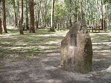 Large stone with brass plate surrounded by bush