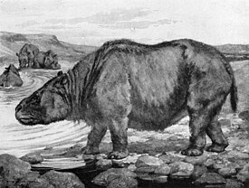 Toxodon platensis