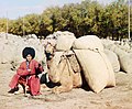A Turkmen man with his dromedary, circa 1905-1915 in Turkmenistan.