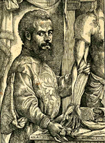 Vesalius