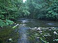 Durchbruchstal der Warnow and Mildenitz Nature Reserve