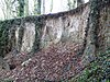 Weybourne Town Pit