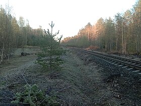 Короткий, 400-метровый, боковой путь. Вид со стороны Маткаселькя.