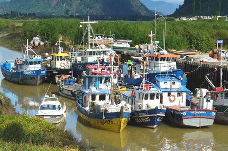 Navires de pêche dans un bras mort