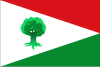 Flag of Albolote