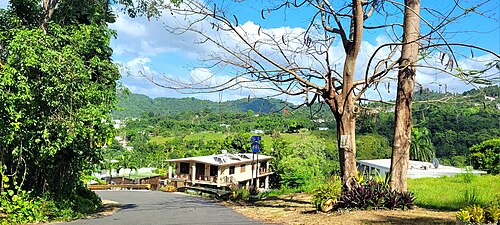 Puerto Rico Highway 649 in Cordillera