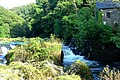 Cenarth Falls