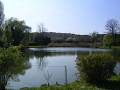 Étang du Moulin à Coubron, forêt de Bondy.