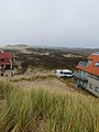 View of the dunes