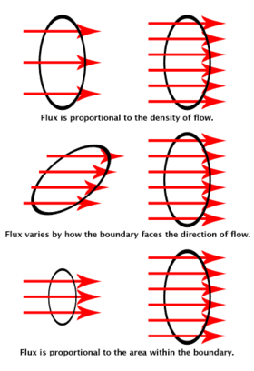 The flux visualized. The rings show the surface boundaries. The red arrows stand for the flow of charges, fluid particles, subatomic particles, photons, etc. The number of arrows that pass through each ring is the flux.