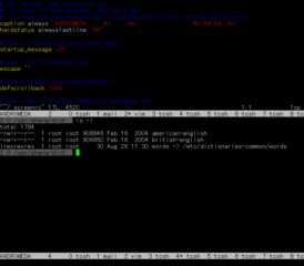 Скриншот программы GNU Screen