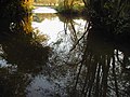 River Enborne at Headley Ford, near Crookham Common