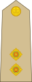 Lieutenant (Jamaican Army)[43]