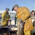 Image 95Cod fishery in Norway (from Atlantic Ocean)