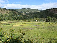 Kapayawan Rice Terraces