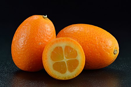 Kumquat, by Iifar