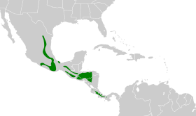 Distribución geográfica del trepatroncos coronipunteado.