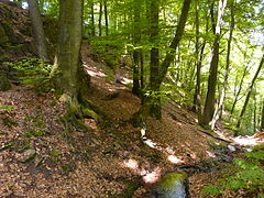 Landrat-Lucas-Weg im Wupperhang