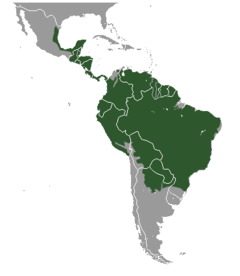 Distribuição da jaguatirica