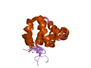 2b1w: Solution structure of the NOD1 Caspase Activating and Recruitment Domain