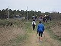 Passeggiata in pineta in Camminata nordica