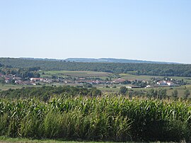 A general view of Mandres-sur-Vair