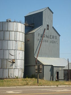 Grain Elevator in Plevna