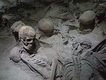 Crânes et troncs humains grisâtres