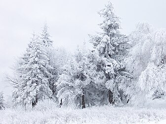 Paysage d’hiver, passage de Shipka en Bulgarie. (définition réelle 2 576 × 1 932*)