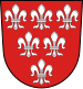Coat of arms of Sulzbach-Rosenberg
