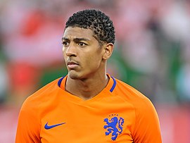 Image illustrative de l’article Patrick van Aanholt