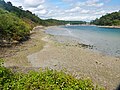 La ria du Bélon : la plage de Questélan (rive droite, côté Riec-sur-Bélon).