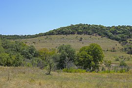 Layers of rock at Doeskin Ranch