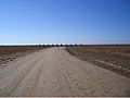 Vue sur le Cadillac Ranch (2008).