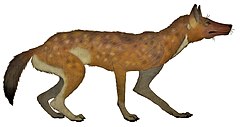 Description de l'image Cynotherium sardous restoration.jpg.