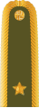 Czech Army: brigádní generál