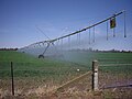 Centre Pivot Irrigation at Euberta