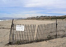 Photograph of a fence with a sign labelled "Snowy Plover Enclosure" that explains the reasons for the beach closure to the public